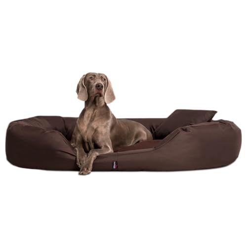 tierlando® Orthopädisches Hundebett Sammy - Robuster Polyester - Dicke Umrandung - Gr. L - XXXXL Hundesofa Hundekörbchen, mittelgroße und große Hunde, waschbar Gr. XXXL 170 cm Braun von tierlando