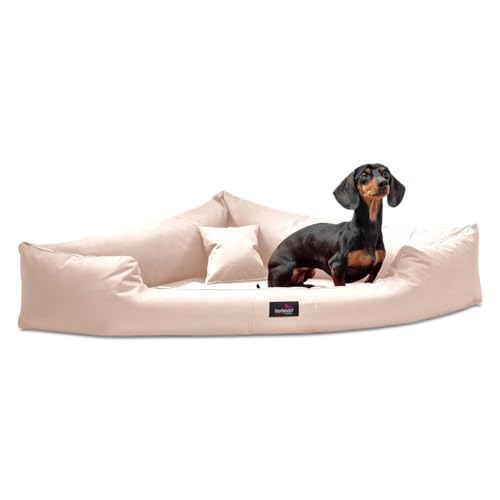 tierlando® Trivia | Orthopädisches Hundebett Robustes Polyester Visco Eckbett Eckhundebett Gr. XL 120cm Creme von tierlando