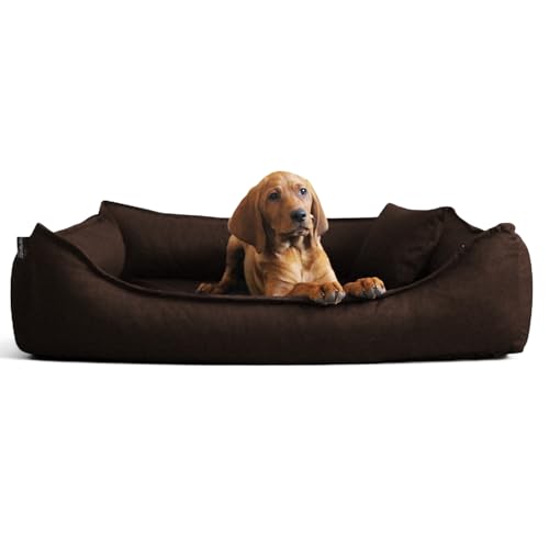 tierlando Donald Ortho Hundebett Anti Haar S M L XL XXL 60 80 100 120 150cm D4-01 Größe: 4 100x80cm | Farbe: 01 braun dunkel tierlando Donald Ortho Hundebett Anti Haar S M L XL XXL 60 80 100 120 150cm D4-01 Größe: 4 100x80cm | Farbe: 01 braun dunkel von tierlando