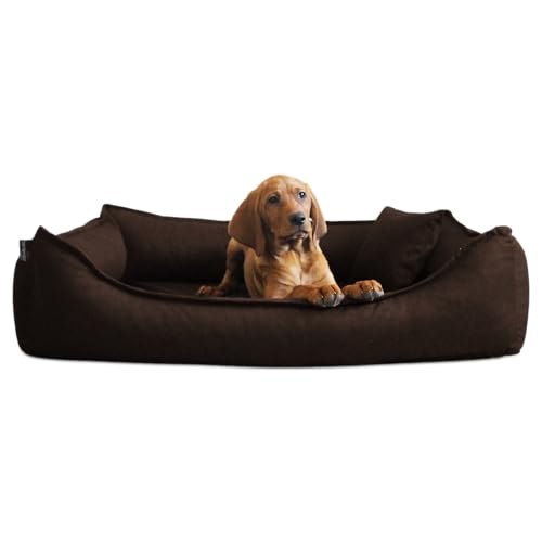tierlando Donald Ortho Hundebett Anti Haar S M L XL XXL 60 80 100 120 150cm D5-01 Größe: 5 120x90cm | Farbe: 01 braun dunkel tierlando Donald Ortho Hundebett Anti Haar S M L XL XXL 60 80 100 120 150cm D5-01 Größe: 5 120x90cm | Farbe: 01 braun dunkel von tierlando