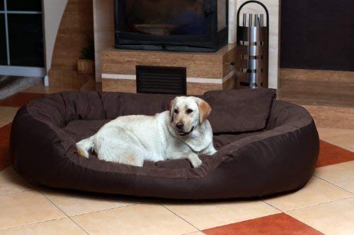 tierlando Hundebett Philip Hundesofa - Kunstleder - Velours - XL XXL XXXL - 110cm bis 170cm - Dogge, Ridgebacks 01 BRAUN - PH5-AL-01 tierlando Hundebett Philip Hundesofa - Kunstleder - Velours - XL XXL XXXL - 110cm bis 170cm - Dogge, Ridgebacks 01 BRAUN - PH5-AL-01 von tierlando