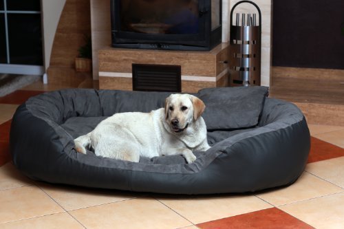 tierlando Hundebett Philip Hundesofa - Kunstleder - Velours - XL XXL XXXL - 110cm bis 170cm - Dogge, Ridgebacks 02 Graphit Grau - PH5-AL-02 tierlando Hundebett Philip Hundesofa - Kunstleder - Velours - XL XXL XXXL - 110cm bis 170cm - Dogge, Ridgebacks 02 Graphit Grau - PH5-AL-02 von tierlando