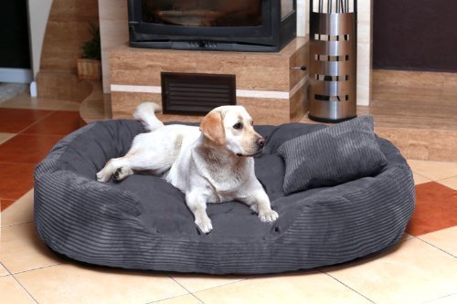 tierlando Hundebett Philip Hundesofa - Soft Cord Velours - XL XXL XXXL - 110cm bis 170cm - Dogge, Ridgebacks (Grau) von tierlando