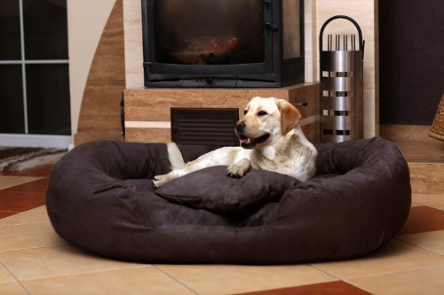 tierlando Hundebett Philip Hundesofa - Soft Velours - XL XXL XXXL - 110cm bis 170cm - Dogge, Ridgebacks 02 Graphit Grau - PH5-AA-02 tierlando Hundebett Philip Hundesofa - Soft Velours - XL XXL XXXL - 110cm bis 170cm - Dogge, Ridgebacks 02 Graphit Grau - PH5-AA-02 von tierlando