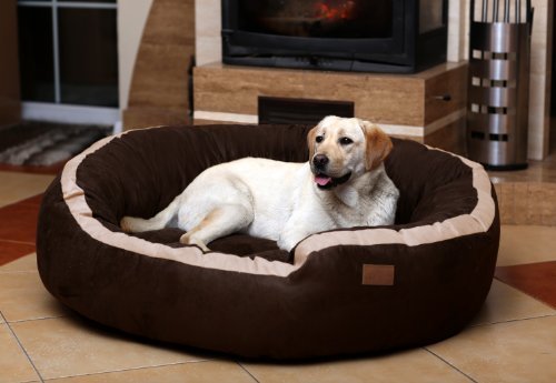 tierlando Lana Hundebett Hundesofa M L XL Velours MEGA DICK 80 100 120cm WEICH Größe: LA4 100cm L | Farbe: 01 Braun tierlando Lana Hundebett Hundesofa M L XL Velours MEGA DICK 80 100 120cm WEICH Größe: LA4 100cm L | Farbe: 01 Braun von tierlando