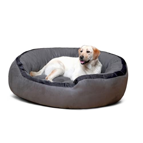 tierlando Lana Hundebett Hundesofa M L XL Velours MEGA DICK 80 100 120cm WEICH Größe: LA4 100cm L | Farbe: 06 Grau tierlando Lana Hundebett Hundesofa M L XL Velours MEGA DICK 80 100 120cm WEICH Größe: LA4 100cm L | Farbe: 06 Grau von tierlando
