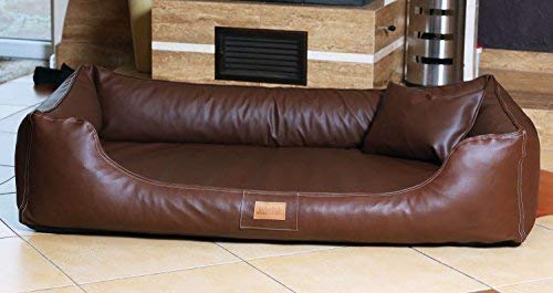 tierlando Maddox Komfort Hundebett Hundesofa Kunstleder S - XXL (Gr. XXL 150 cm BRAUN - MN6-LL-01 tierlando Maddox Komfort Hundebett Hundesofa Kunstleder S - XXL (Gr. XXL 150 cm BRAUN - MN6-LL-01 von tierlando