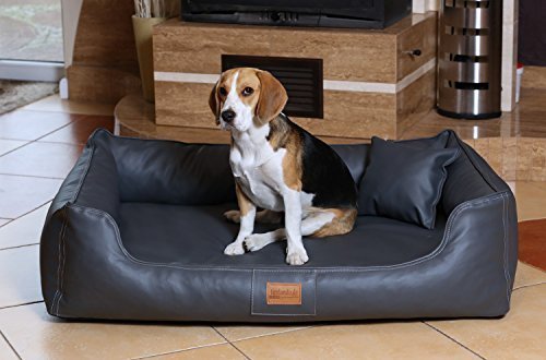 tierlando Maddox Komfort Hundebett Hundesofa Kunstleder S - XXL Größe: MN4-LL 100cm | Farbe: 02 Graphit Grau tierlando Maddox Komfort Hundebett Hundesofa Kunstleder S - XXL Größe: MN4-LL 100cm | Farbe: 02 Graphit Grau von tierlando