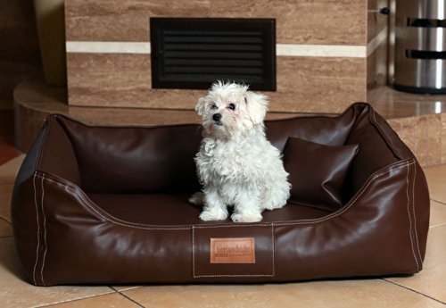 tierlando® Orthopädisches Hundebett Maddox Kunstleder Hundesofa Mittelgroß Große Hunde Hundesofa Hundekorb XL XXL M 80cm | 01 Braun tierlando® Orthopädisches Hundebett Maddox Kunstleder Hundesofa Mittelgroß Große Hunde Hundesofa Hundekorb XL XXL M 80cm | 01 Braun von tierlando