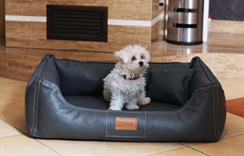 tierlando® Orthopädisches Hundebett Maddox Kunstleder Hundesofa Mittelgroß Große Hunde Hundesofa Hundekorb XL XXL Größe: MO3-LL 80cm Farbe: 02 Graphit tierlando® Orthopädisches Hundebett Maddox Kunstleder Hundesofa Mittelgroß Große Hunde Hundesofa Hundekorb XL XXL Größe: MO3-LL 80cm Farbe: 02 Graphit von tierlando