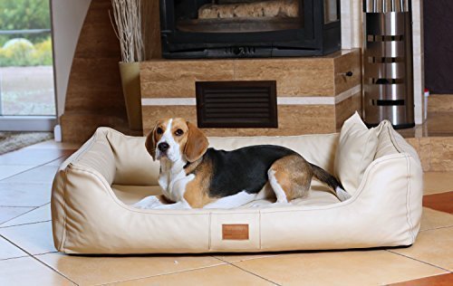 tierlando® Orthopädisches Hundebett Maddox Kunstleder Hundesofa Mittelgroß Große Hunde Hundesofa Hundekorb XL XXL Größe: MO5-LL 120cm Farbe: 05 Creme tierlando® Orthopädisches Hundebett Maddox Kunstleder Hundesofa Mittelgroß Große Hunde Hundesofa Hundekorb XL XXL Größe: MO5-LL 120cm Farbe: 05 Creme von tierlando