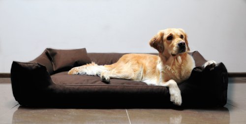 tierlando Moritz Komfort Hundebett Hundesofa M - XXXL 90 110 130 160 185 cm Größe: M3 / M 80cm | Bezug: Polyester 600D | Farbe: 01 Braun von tierlando