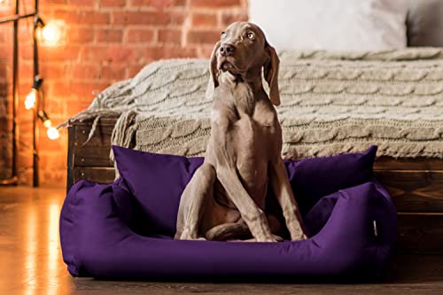 tierlando NEMO Hundebett Hundesofa Hundekorb Katzenbett Größe: N3 100cm | Farbe: 09 Lila tierlando NEMO Hundebett Hundesofa Hundekorb Katzenbett Größe: N3 100cm | Farbe: 09 Lila von tierlando
