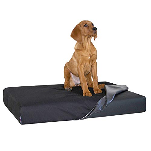 tierlando Quick-Cover Medic Matratzenschoner | 4-eckig Matratzenschoner Goofy | Pluto | Linus | Anton | Scotch (XXL - 145 x 85 x 8-20 cm, 03 Schwarz) von tierlando
