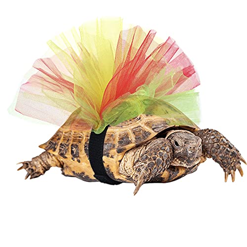Tortoise Tutu Kostüm für Haustier Schildkröte Dekoration Kreatives Geschenk von tinkare