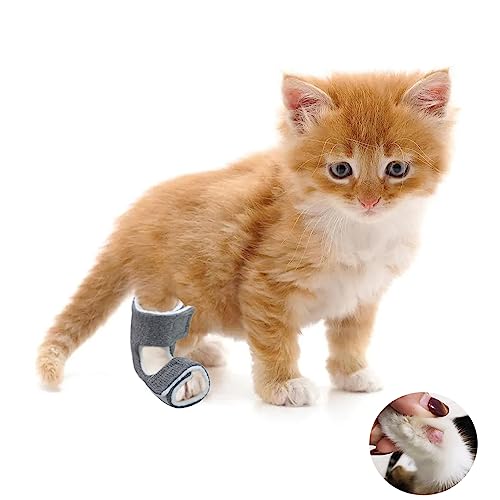 tinkare 1 Paar Cat Hock Socken für wunde Sprunggelenke Knöchelschutz für Katzen Erholung und Linderung von Wundschmerzen von tinkare