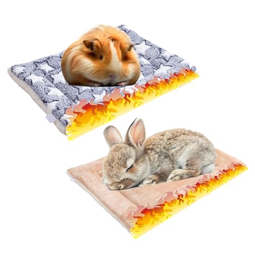 2 Stück Warme Meerschweinchen Decke,30*20cm Hamster Kaninchen Bett Matte,warme flauschige Welpen Fleecedecke,Bettmatte für Meerschweinchen,Geeignet für Hamster, Kaninchen, Chinchillas, Kätzchen usw. von tintoke