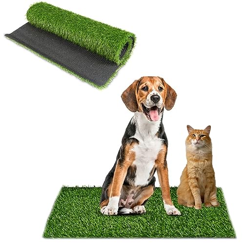 Hundeklo welpentoilette, 50 * 80cm Kunstrasen Hundeklo,Hundeklo Hundetoilette Wiederverwendbar Training Pee Pads,mit Leckbohrung,Trainingsunterlage für zuhause,Balkon,Rasen Hundeklo welpentoilette, 50 * 80cm Kunstrasen Hundeklo,Hundeklo Hundetoilette Wiederverwendbar Training Pee Pads,mit Leckbohrung,Trainingsunterlage für zuhause,Balkon,Rasen von tintoke