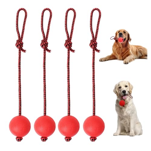 4 Stück Naturkautschuk Wurfball Hund,Elastische Hundespielzeug Ball mit Seil,hundespielzeug ball weich,Hundespielzeug Ball,hundespielzeug ball groß,Geeignet zum Trainieren und Spielen von Haustieren 4 Stück Naturkautschuk Wurfball Hund,Elastische Hundespielzeug Ball mit Seil,hundespielzeug ball weich,Hundespielzeug Ball,hundespielzeug ball groß,Geeignet zum Trainieren und Spielen von Haustieren von tintoke