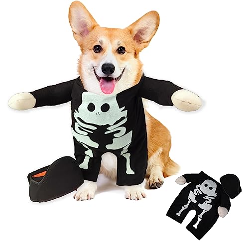 tinysiry Halloween-Kürbis-Hunde-Cosplay-Kostüm, leuchtendes Hunde- und Katzen-Halloween-Outfit, Haustier-Cosplay-Kleidung für kleine Hunde, lustige Kostüm-Hundekleidung Schwarz M von tinysiry