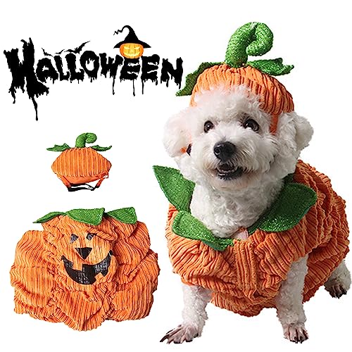 tinysiry Halloween-Kürbis-Hunde-Cosplay-Kostüm, süßes Cordkleid für kleine Hunde, Katzen, Kätzchen, Halloween-Outfit, Haustier-Cosplay-Kleidung für kleine Hunde S von tinysiry