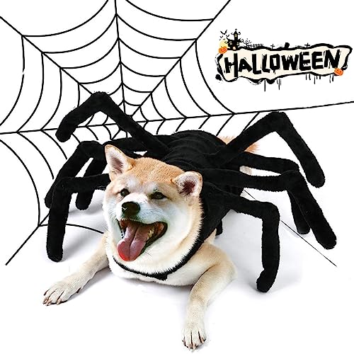 tinysiry Haustier-Spinnen-Kostüm mit verstellbarem Verschlussband, Halloween-Katzen-Hunde-Kostüm für Party, Festival, Outfit, Halloween-Haustier-Cosplay-Kleidung für kleine mittelgroße Hunde und von tinysiry