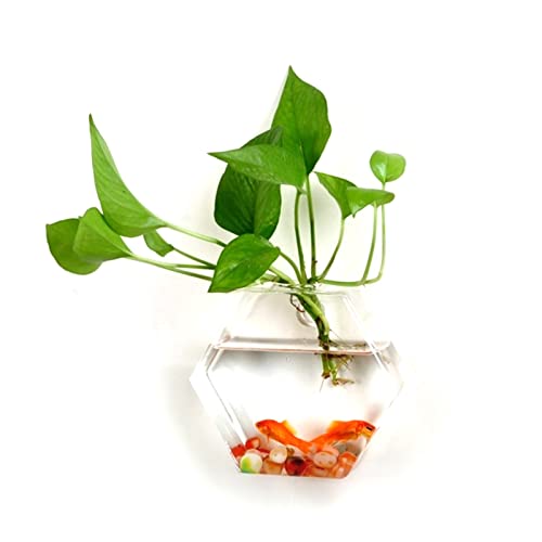 tinysiry Wandhängende Blumenvase aus Glas, Glasterrarien für Zimmerpflanzen, Pflanzgefäße, wandmontierte Hydrokulturvase, Aquariumbehälter für Aquarien B von tinysiry