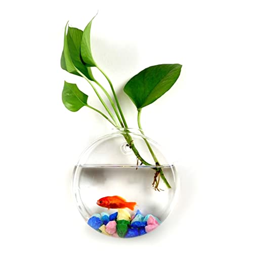 tinysiry Wandhängende Blumenvase aus Glas, Glasterrarien für Zimmerpflanzen, Pflanzgefäße, wandmontierte Hydrokulturvase, Aquariumbehälter für Aquarien C von tinysiry