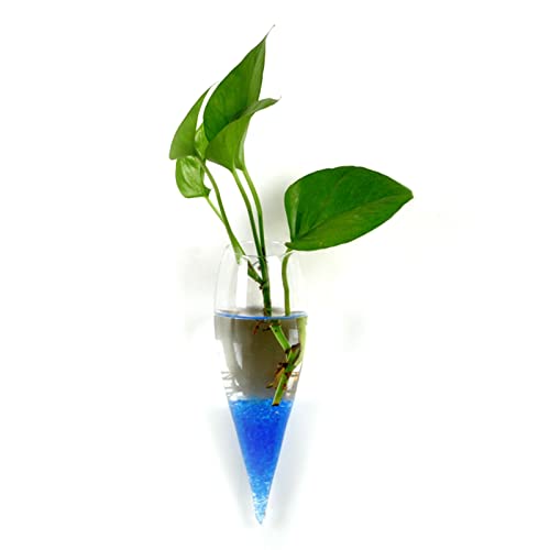 tinysiry Wandhängende Blumenvase aus Glas, Glasterrarien für Zimmerpflanzen, Pflanzgefäße, wandmontierte Hydrokulturvase, Aquariumbehälter für Aquarien D von tinysiry