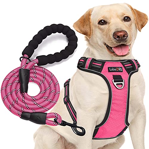 tobeDRI Hundegeschirr, kein Ziehen, verstellbar, reflektierend, Oxford-Gewebe, einfache Kontrolle, mit kostenloser strapazierfähiger 1,5 m Langen Hundeleine, Größe L (Hals: 46–65 cm, Brustumfang: tobeDRI Hundegeschirr, kein Ziehen, verstellbar, reflektierend, Oxford-Gewebe, einfache Kontrolle, mit kostenloser strapazierfähiger 1,5 m Langen Hundeleine, Größe L (Hals: 46–65 cm, Brustumfang: von tobeDRI