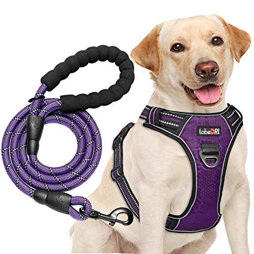 tobeDRI Hundegeschirr, kein Ziehen, verstellbar, reflektierend, Oxford-Gewebe, einfache Kontrolle, mit kostenloser strapazierfähiger 1,5 m langen Hundeleine, Größe L (Hals: 46–65 cm, Brustumfang: tobeDRI Hundegeschirr, kein Ziehen, verstellbar, reflektierend, Oxford-Gewebe, einfache Kontrolle, mit kostenloser strapazierfähiger 1,5 m langen Hundeleine, Größe L (Hals: 46–65 cm, Brustumfang: von tobeDRI