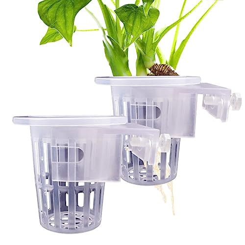 tongfeng Aquarium-Pflanzenhalter, Aquarium-Dekoration, transparenter Aquarium-Pflanztopf für Emerse-Pflanzen, Wasserpflanzenzucht tongfeng Aquarium-Pflanzenhalter, Aquarium-Dekoration, transparenter Aquarium-Pflanztopf für Emerse-Pflanzen, Wasserpflanzenzucht von tongfeng