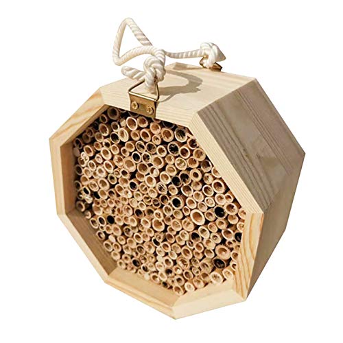 tonguk Holzbienenhaus Set, 15 * 15 * 9cm Rohr Imkerkiste Bienen Nistkasten Garten Insektenkasten von tonguk