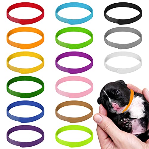 tonyg-p 15 Stück Hundehalsband, Erkennungshalsbänder für Welpen und Kätzchen von tonyg-p