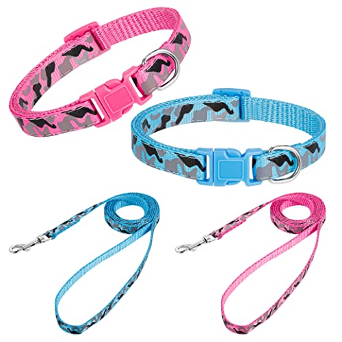 tonyg-p 2 Stück Welpenhalsbänder mit Leine, Hundehalsband und Leine Set Verstellbares Hundehalsband Weich Nylon Haustier Halsband für Welpen Kleine Mittlere Hunde von tonyg-p