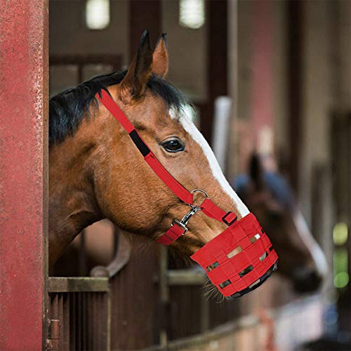 Pferdemaulkorb Easy Breathe für Pferde, Esel, Rot, Größe S von tooloflife