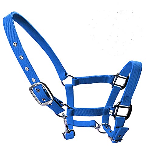 tooloflife Halfter für Fohlen, Pony, Esel, gepolstert, Nylon, groß, verstellbar, Blau tooloflife Halfter für Fohlen, Pony, Esel, gepolstert, Nylon, groß, verstellbar, Blau von tooloflife