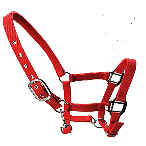 tooloflife Reithalfter aus Nylon, verstellbar, für Fohlen, Pony, Esel, Rot tooloflife Reithalfter aus Nylon, verstellbar, für Fohlen, Pony, Esel, Rot von tooloflife