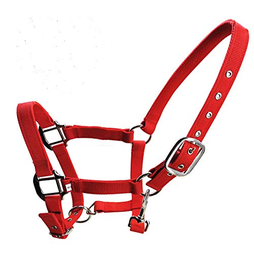 tooloflife Verdicktes Gurtband Halfter Pferdehalfter 3 Farben Horse Headcollars Doppelschichtiges 3 Größen für Pferd Blau, Rot, Schwarz von tooloflife