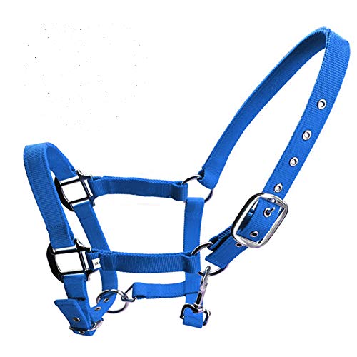 tooloflife Verdicktes Gurtband Halfter Pferdehalfter 3 Farben Horse Headcollars Doppelschichtiges 3 Größen für Pferd Blau, Rot, Schwarz tooloflife Verdicktes Gurtband Halfter Pferdehalfter 3 Farben Horse Headcollars Doppelschichtiges 3 Größen für Pferd Blau, Rot, Schwarz von tooloflife