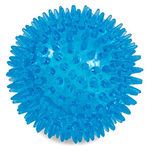 Toyz Stachelball, L, blau von Petface