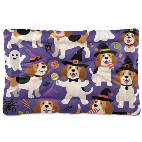 Haustierbett, Motiv: süßer brauner Beagle, für Halloween, waschbar, weich, rutschfest, für mittelgroße und große Hunde, 91,4 x 61 cm Haustierbett, Motiv: süßer brauner Beagle, für Halloween, waschbar, weich, rutschfest, für mittelgroße und große Hunde, 91,4 x 61 cm von tplaotee