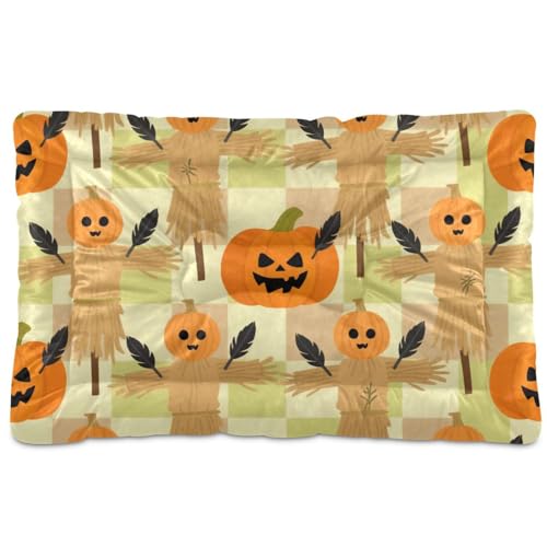 Lustiges Halloween-Kürbis-Vogelscheuche, waschbar, rutschfest, weich, bequem, Katzenhütte, Matte für große, mittelgroße und kleine Hunde, 91,4 x 61 cm Lustiges Halloween-Kürbis-Vogelscheuche, waschbar, rutschfest, weich, bequem, Katzenhütte, Matte für große, mittelgroße und kleine Hunde, 91,4 x 61 cm von tplaotee