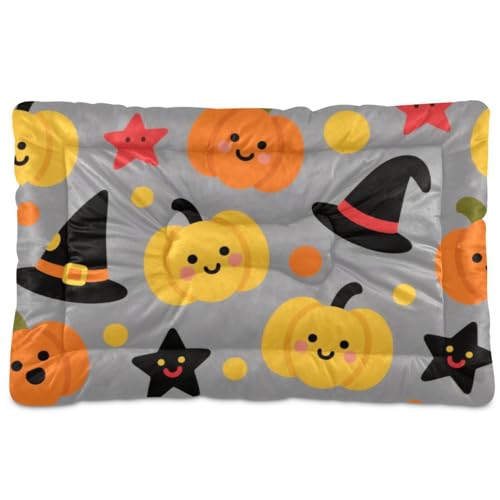 Orange Evil Halloween Kürbis Hexe waschbares Hunde- und Katzenbett, weich, rutschfest, für mittelgroße und große Hunde, 91,4 x 61 cm Orange Evil Halloween Kürbis Hexe waschbares Hunde- und Katzenbett, weich, rutschfest, für mittelgroße und große Hunde, 91,4 x 61 cm von tplaotee