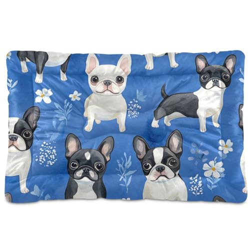 tplaotee Cartoon Boston Terrierdogs Haustiermatratze, waschbar, weich, rutschfest, für mittelgroße und große Hunde, 91,4 x 61 cm, Königsblau tplaotee Cartoon Boston Terrierdogs Haustiermatratze, waschbar, weich, rutschfest, für mittelgroße und große Hunde, 91,4 x 61 cm, Königsblau von tplaotee