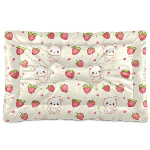 tplaotee Childish Cute Beers Hundebett / Katzenbett, waschbar, weich, bequem, rutschfeste Unterseite, für große, mittelgroße und kleine Hunde, 91,4 x 61 cm, Beige von tplaotee