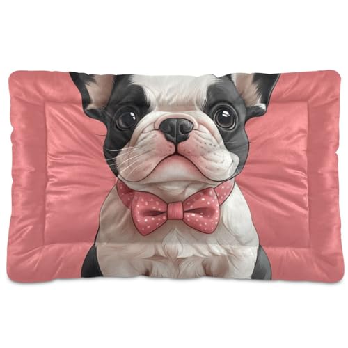 tplaotee Haustierbett-Matte mit niedlicher französischer Bulldogge, waschbar, weich, bequem, rutschfeste Unterseite, Haustiermatte für große, mittelgroße und kleine Hunde, 91,4 x 61 cm tplaotee Haustierbett-Matte mit niedlicher französischer Bulldogge, waschbar, weich, bequem, rutschfeste Unterseite, Haustiermatte für große, mittelgroße und kleine Hunde, 91,4 x 61 cm von tplaotee