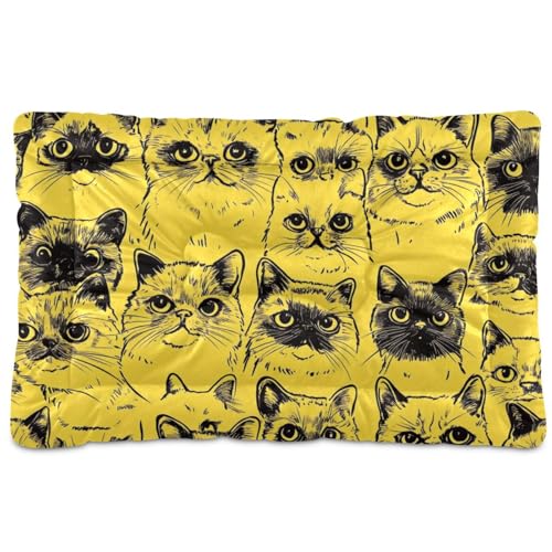 tplaotee Hunde- und Katzenbett, exotische Kurzhaare, waschbar, weich, bequem, rutschfeste Unterseite, für große, mittelgroße und kleine Hunde, 91,4 x 61 cm, Gelb von tplaotee