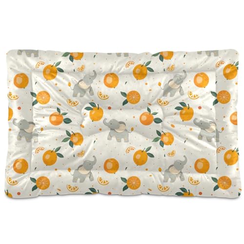 tplaotee Hundebett, Motiv: Elefant, Mandarine, bunt, waschbar, rutschfest, weich, bequem, für große, mittelgroße und kleine Hunde, 91,4 x 61 cm tplaotee Hundebett, Motiv: Elefant, Mandarine, bunt, waschbar, rutschfest, weich, bequem, für große, mittelgroße und kleine Hunde, 91,4 x 61 cm von tplaotee