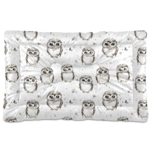 tplaotee Hundebett-Matte mit niedlicher Eule, rutschfest, weich, bequem, für große, mittelgroße und kleine Hunde, 91,4 x 61 cm, Weiß von tplaotee